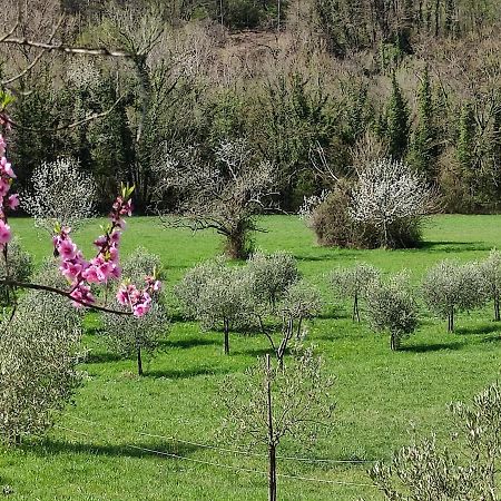 Lissahouse Agriturismo San Pietro Vara Εξωτερικό φωτογραφία